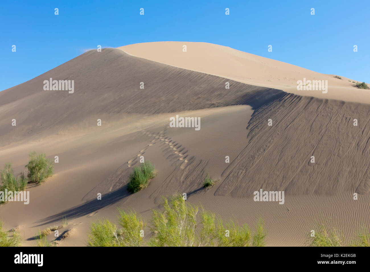 Le chant des dunes de sable, Altyn Emel National Park, au Kazakhstan. Banque D'Images