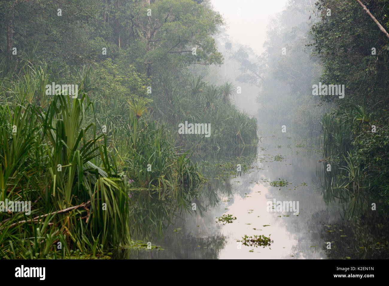 La rivière Sekonyer avec de la fumée dans l'air d'un feu de forêt, parc national de Tanjung Puting, Indonésie, Bornéo, Central Province Kalimantan central, octobre 2015. Banque D'Images