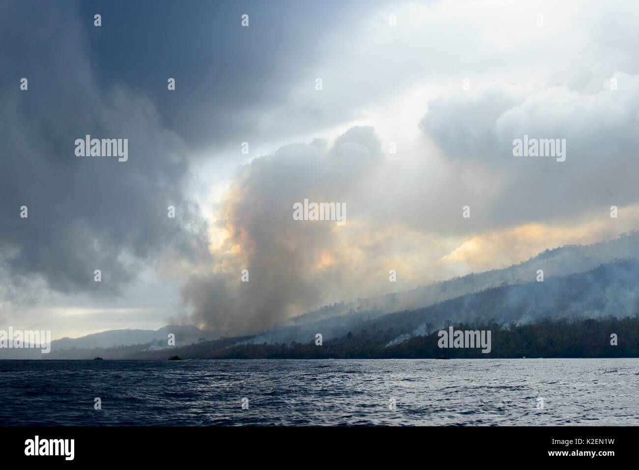 Incendie dans le Parc National de Tangkoko. Le feu a duré deux semaines, jusqu'à ce qu'il a été éteint par une tempête de la mer. Sulawesi, Indonésie, octobre 2015. Banque D'Images