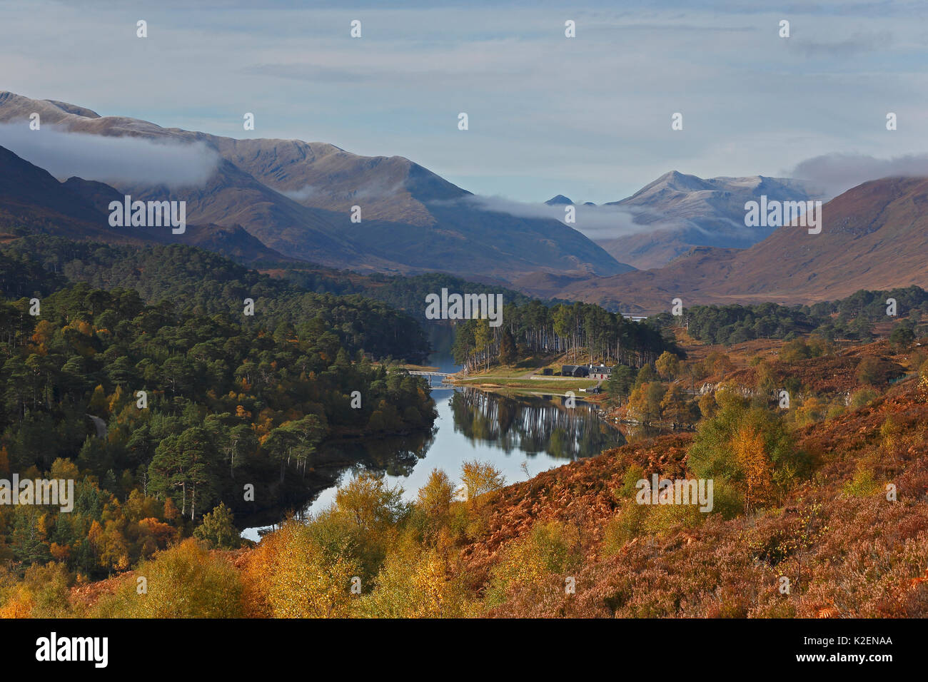 Glen Affric en automne, Highlands, Scotland, UK, octobre 2012. Banque D'Images