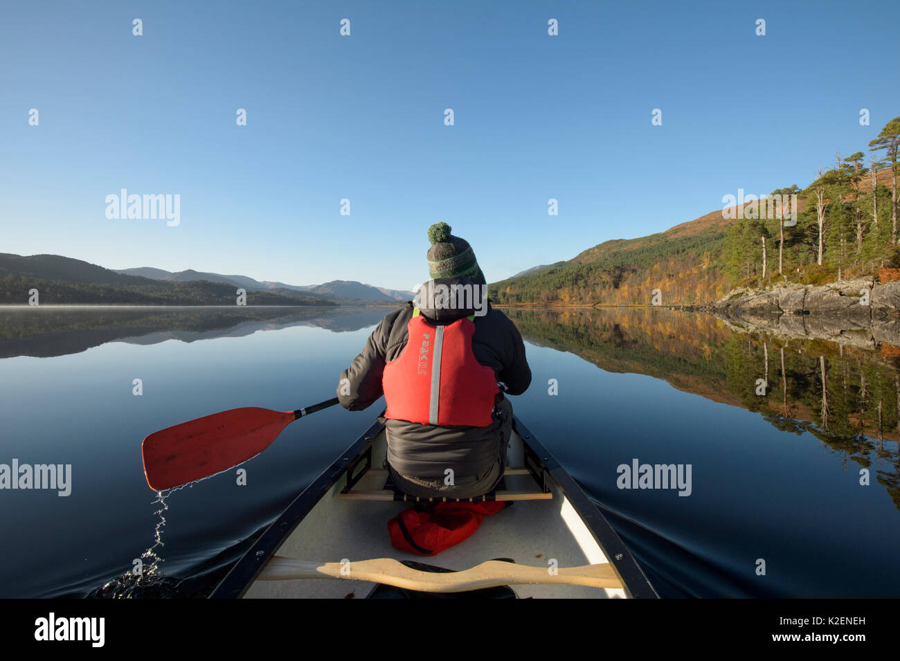 Canoë sur le Loch Beinn un&# 39 ; Mheadhoin, pin sylvestre (Pinus sylvestris) sur la rive, Glen Affric, Highlands, en Écosse. Banque D'Images
