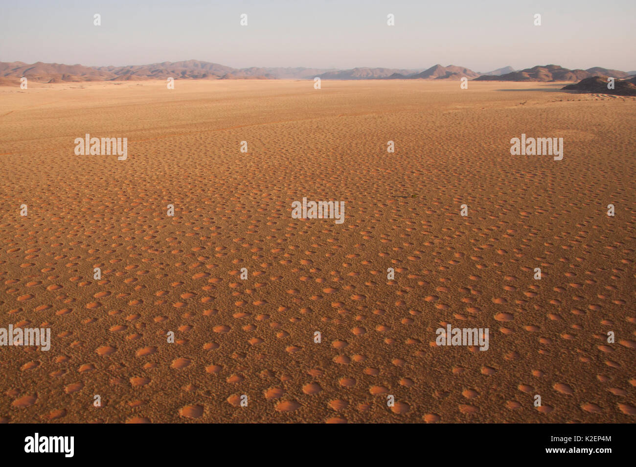 Vue aérienne de cercles de fées, Gerebes Plaine, Namibie, septembre 2011. Banque D'Images