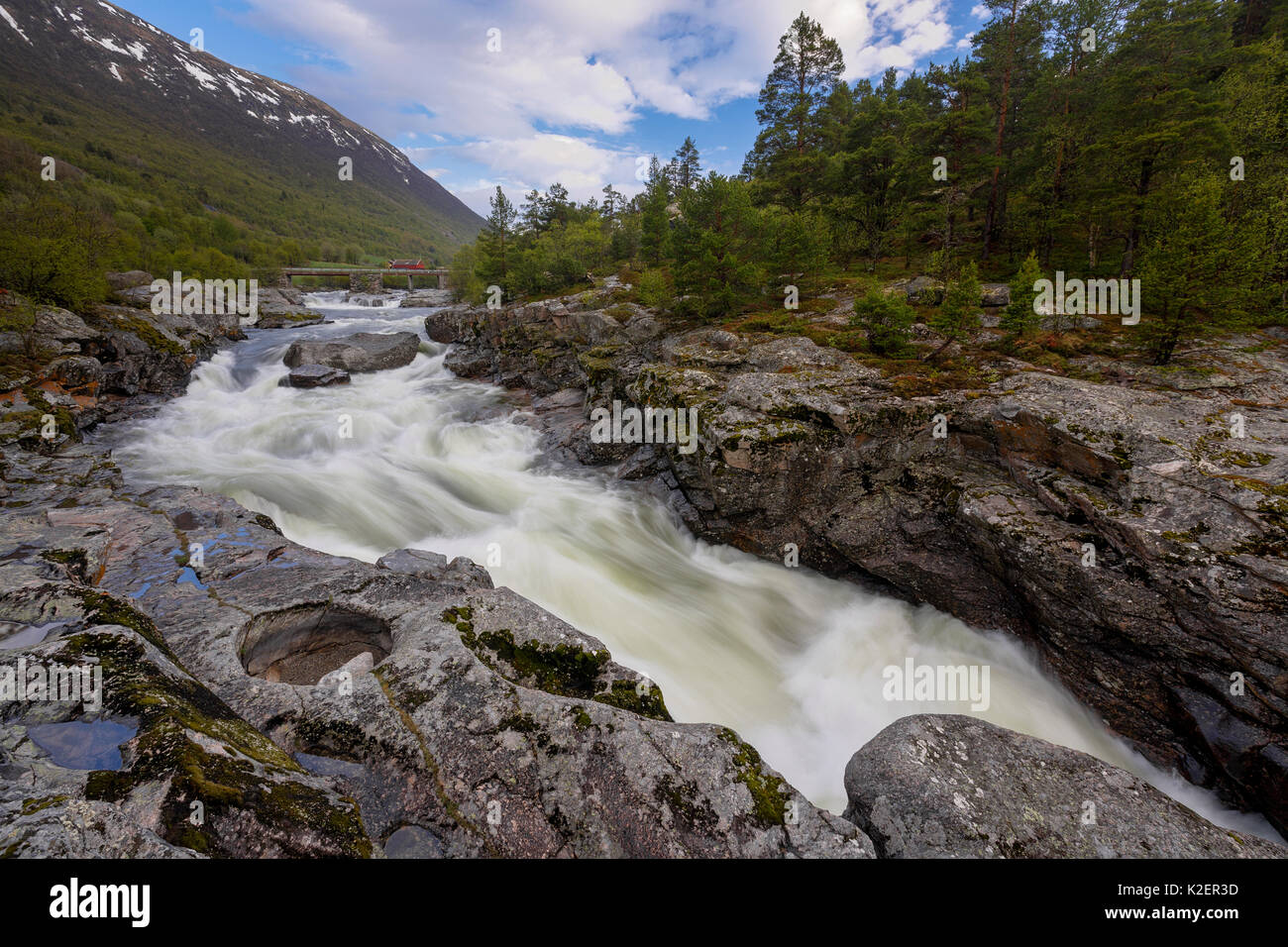 Rivière Driva entrer dans la Gorge de Magalaupet. Oppdal, Sor-Trondelag (Norvège). Mai 2009. Banque D'Images