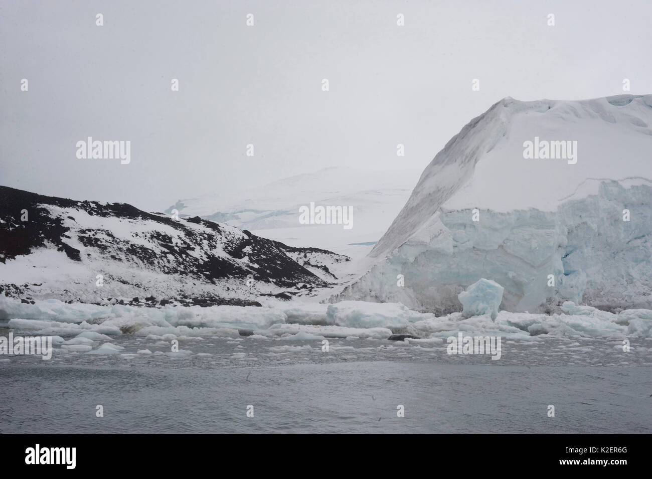 Côte de l'île de boucle, îles Balleny, Antarctique, février. Banque D'Images