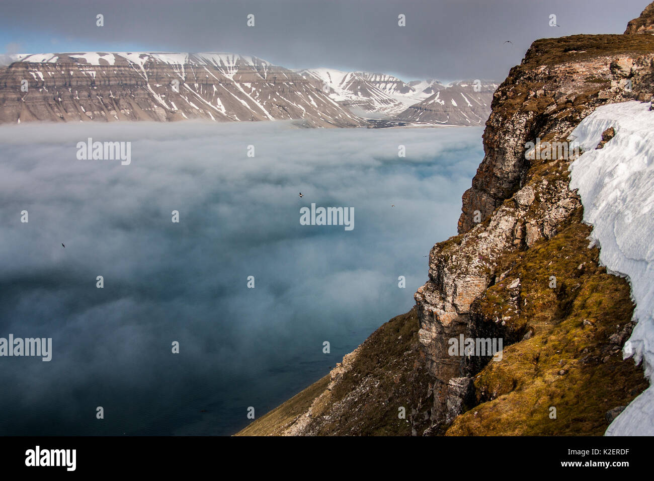 Mist couché dans la vallée Sassendalen, Svalbard, Norvège, juillet. Banque D'Images