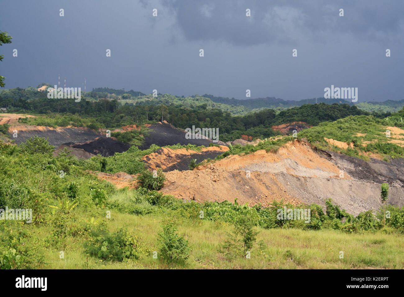 Mine de charbon à ciel ouvert, Balipanap, East Kalimantan, Bornéo. Juin 2010. Banque D'Images