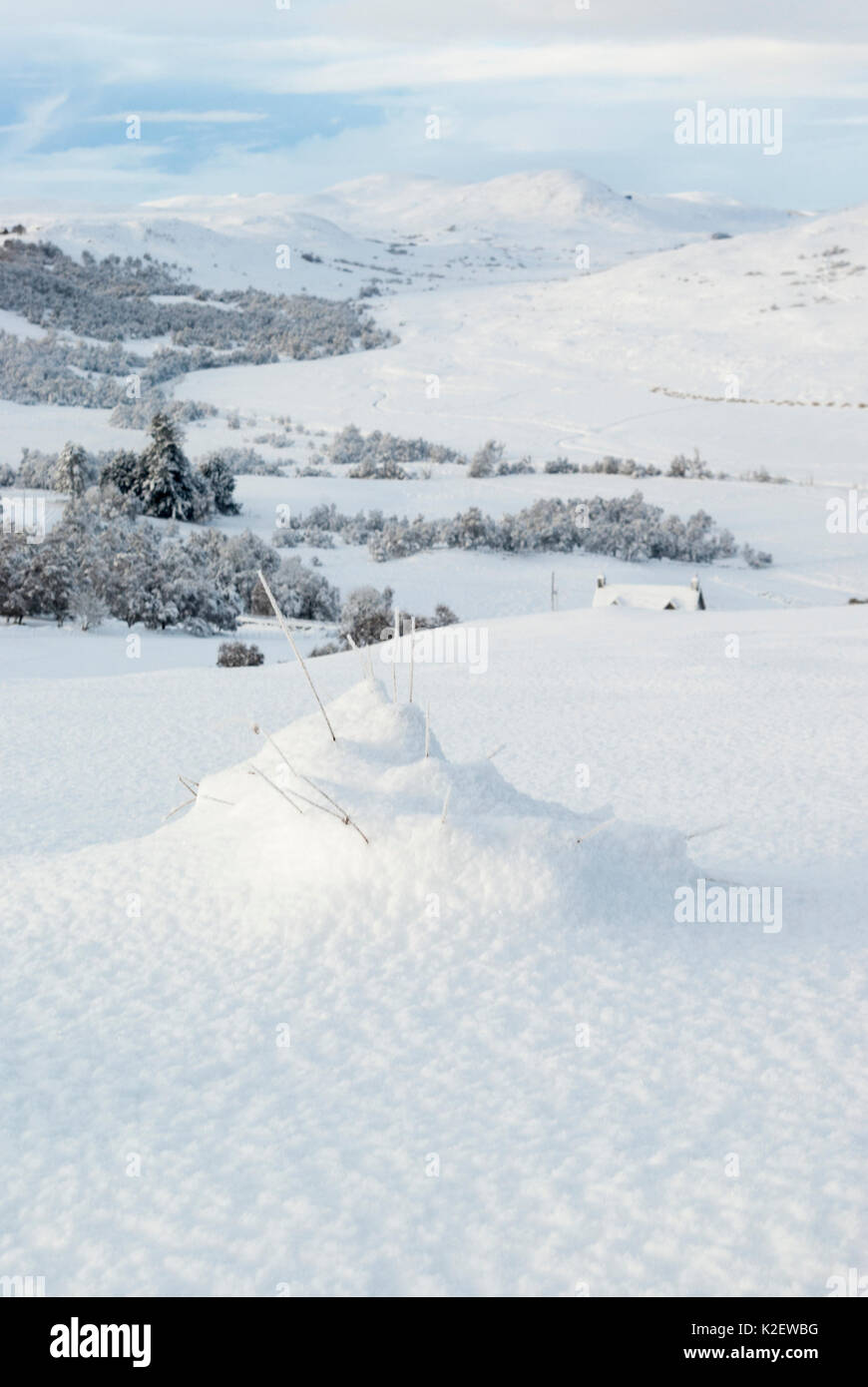 La neige a couvert la campagne de paysage rural et Rock Grumby Brora Strath sous le soleil d'hivers jour, Rogart, Sutherland, Highlands, Scotland, UK Banque D'Images