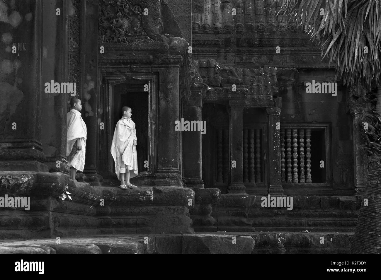 Angkor Wat merveilles du monde château de pierre Cambodge siem reap Banque D'Images