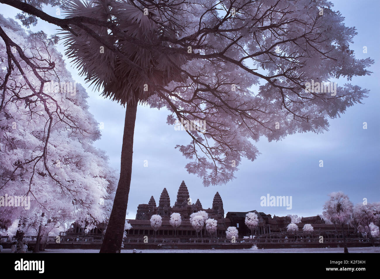 Angkor Wat merveilles du monde château de pierre Cambodge siem reap Banque D'Images