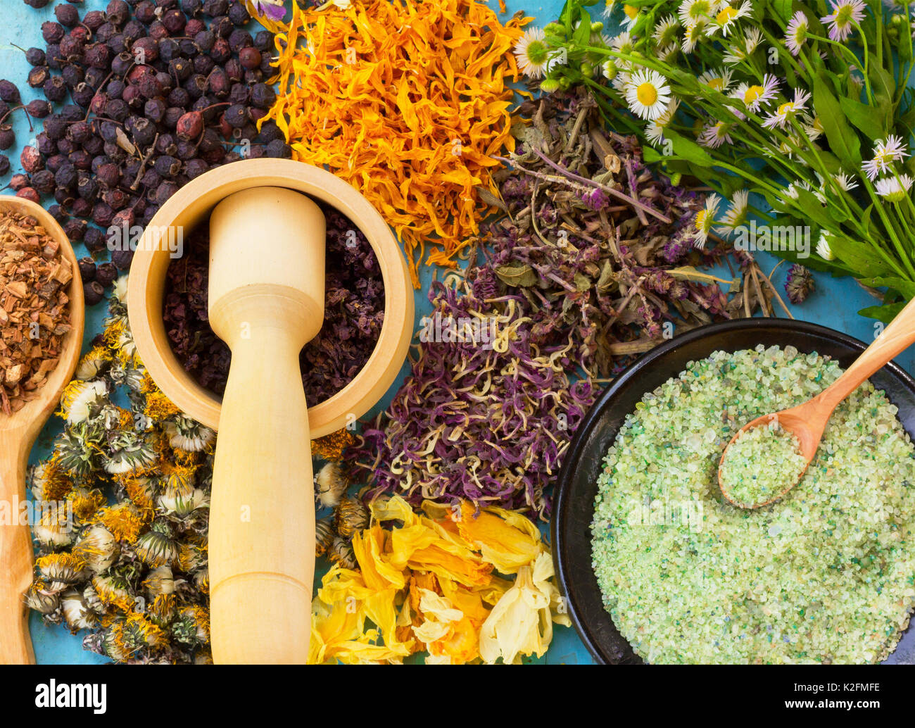 Un ensemble de fleurs séchées et de baies, herbes, écorce de chêne, le sel de mer sur de vieilles tables en bois. L'homéopathie, médecine alternative Banque D'Images