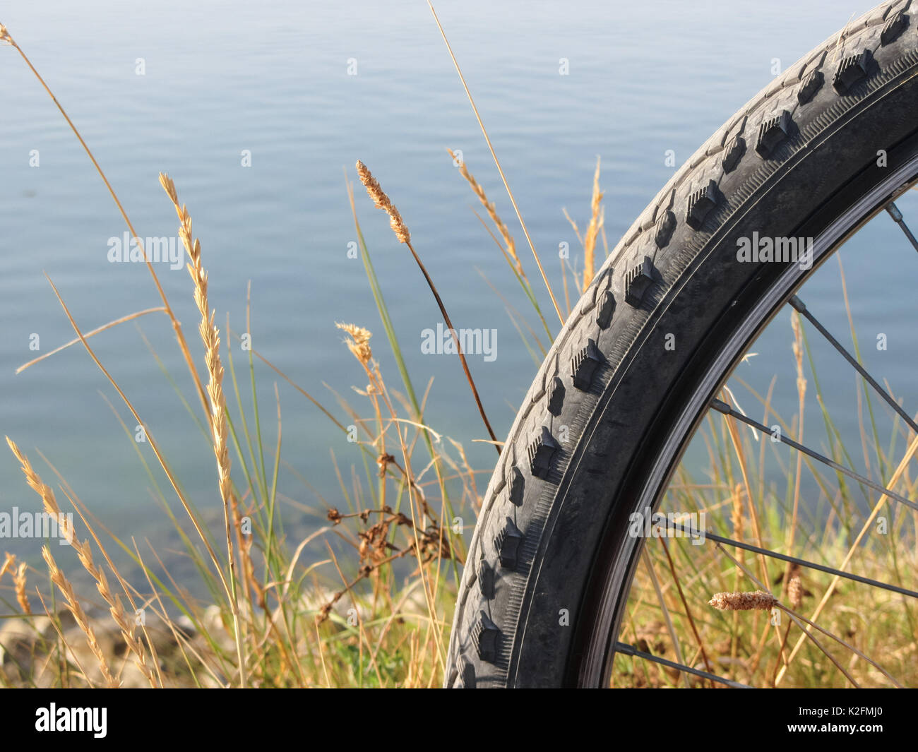 Randonnée à vélo en journée ensoleillée dans la lagune de Venise Banque D'Images