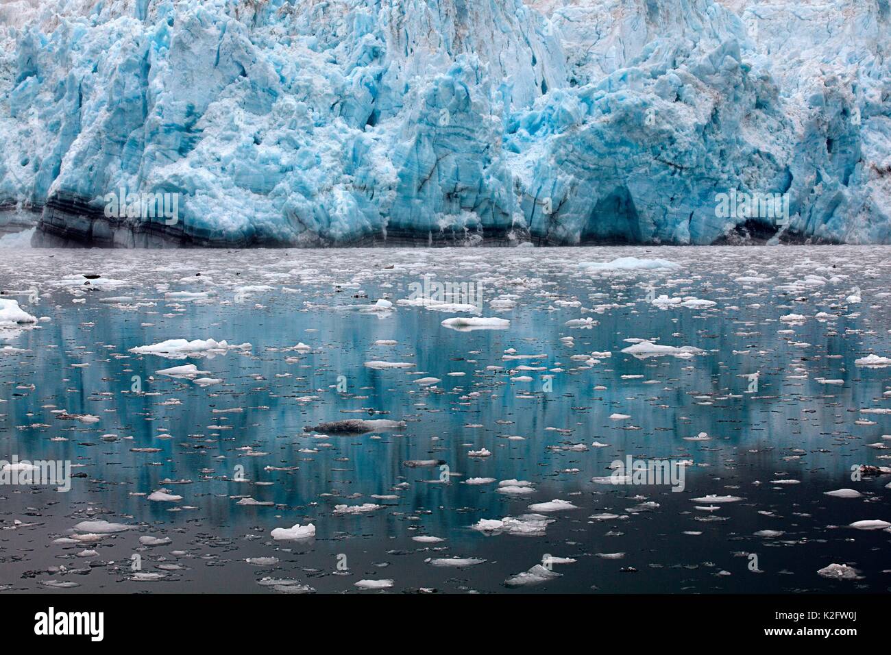 L'eau de marée un front du glacier en Alaska, Prince William Sound. Banque D'Images