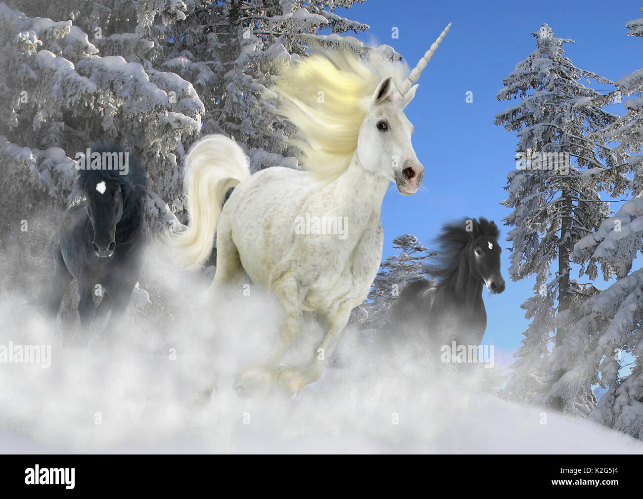 Licorne, gris, galopant devant deux chevaux à travers la neige, composition  numérique Photo Stock - Alamy