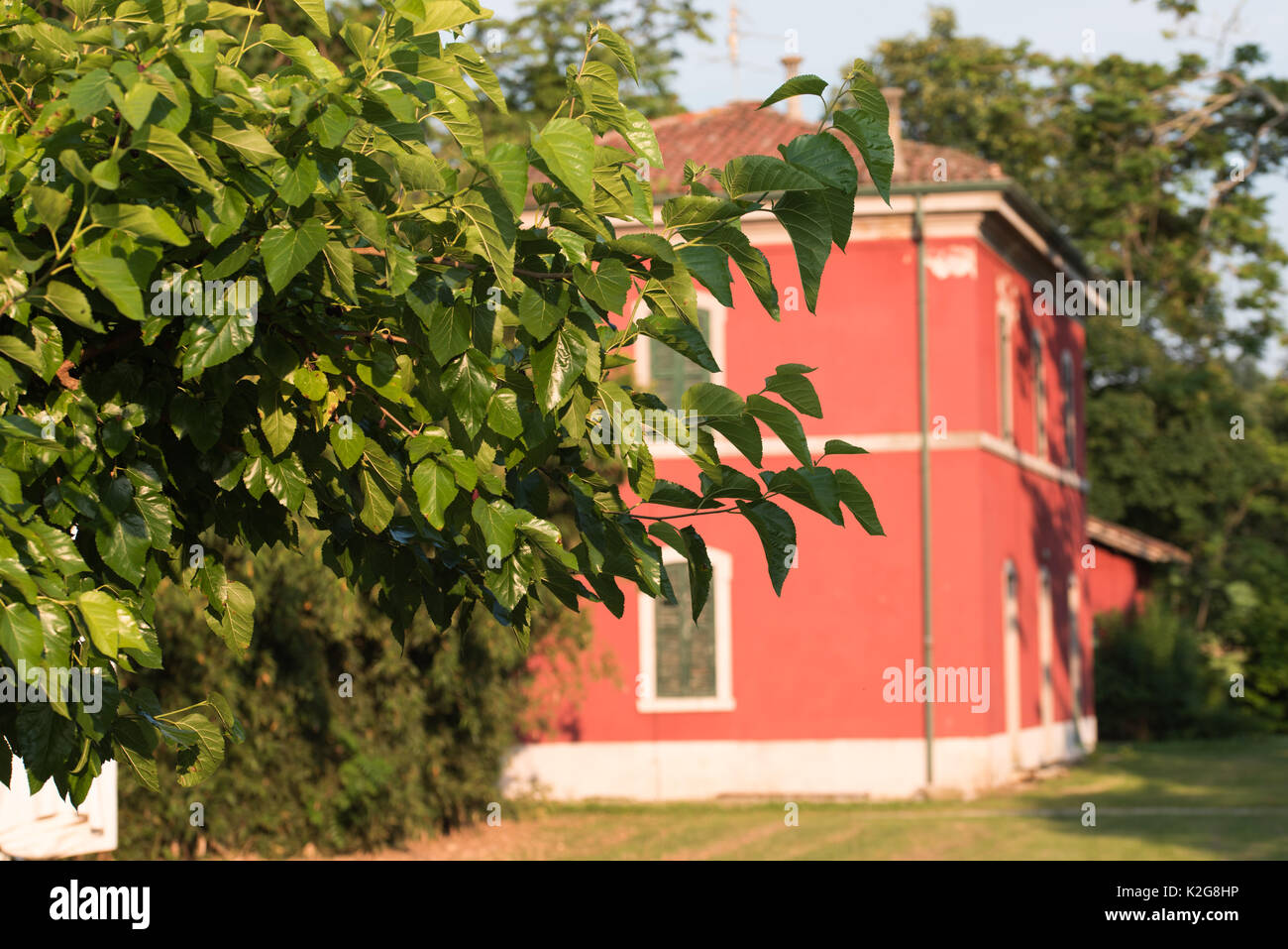 Maisons de campagne sur le Frioul hills Banque D'Images