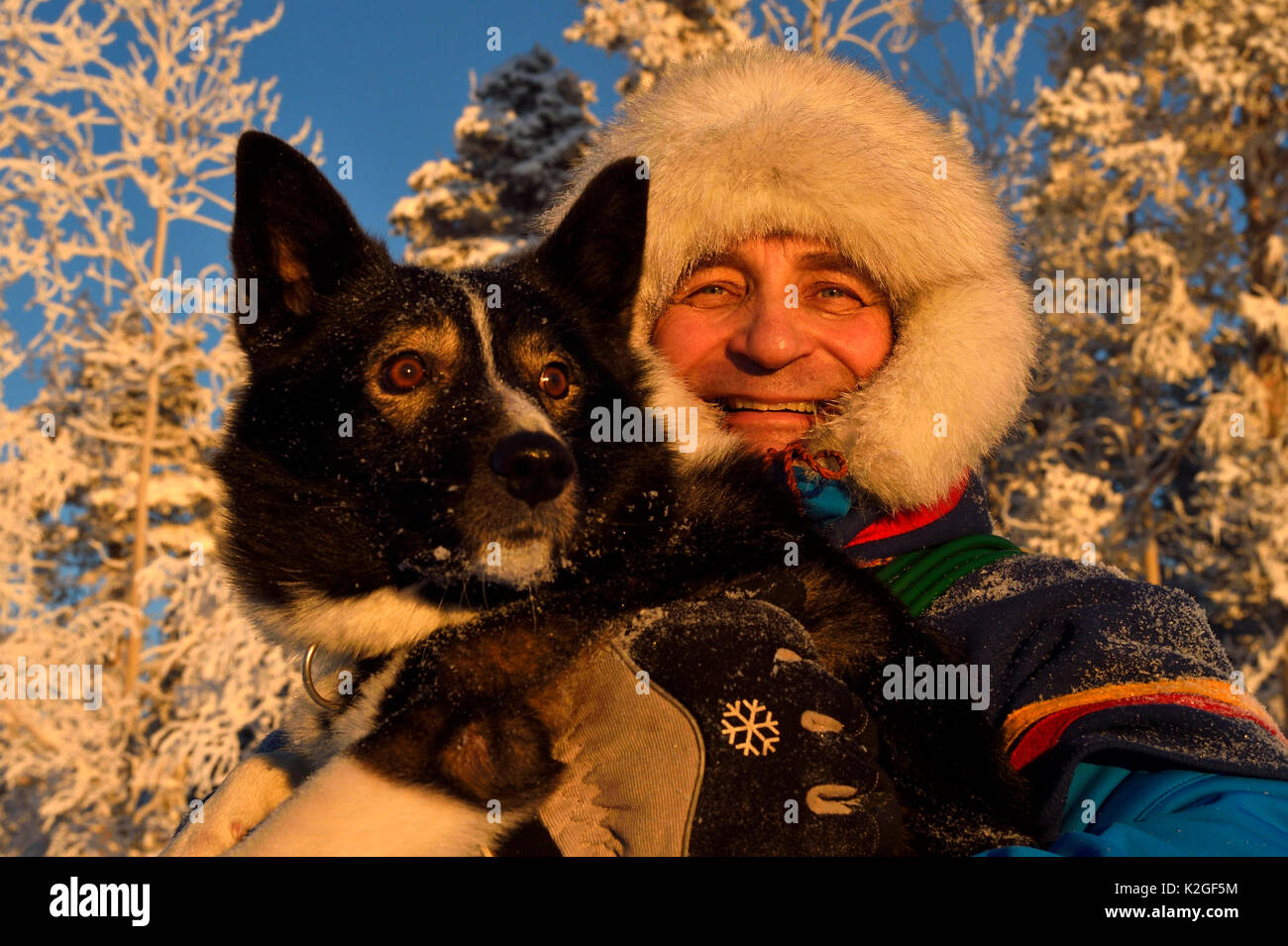 Nils-Torbjorn Nutti, propriétaire et exploitant au Nutti Siida Sami, avec des chiens husky, au cours de voyage de motoneige dans le désert, Jukkasjarvi, Laponie, Laponia, comté de Norrbotten, modèle de la Suède en liberté. Banque D'Images