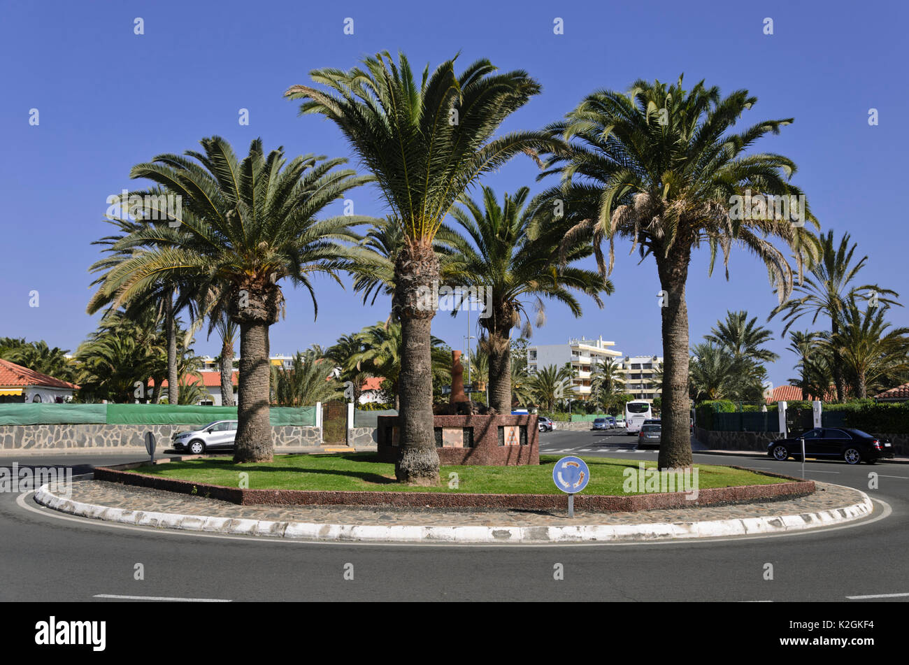 Île des dattiers (Phoenix canariensis) sur un rond-point, Maspalomas, Gran Canaria, Espagne Banque D'Images