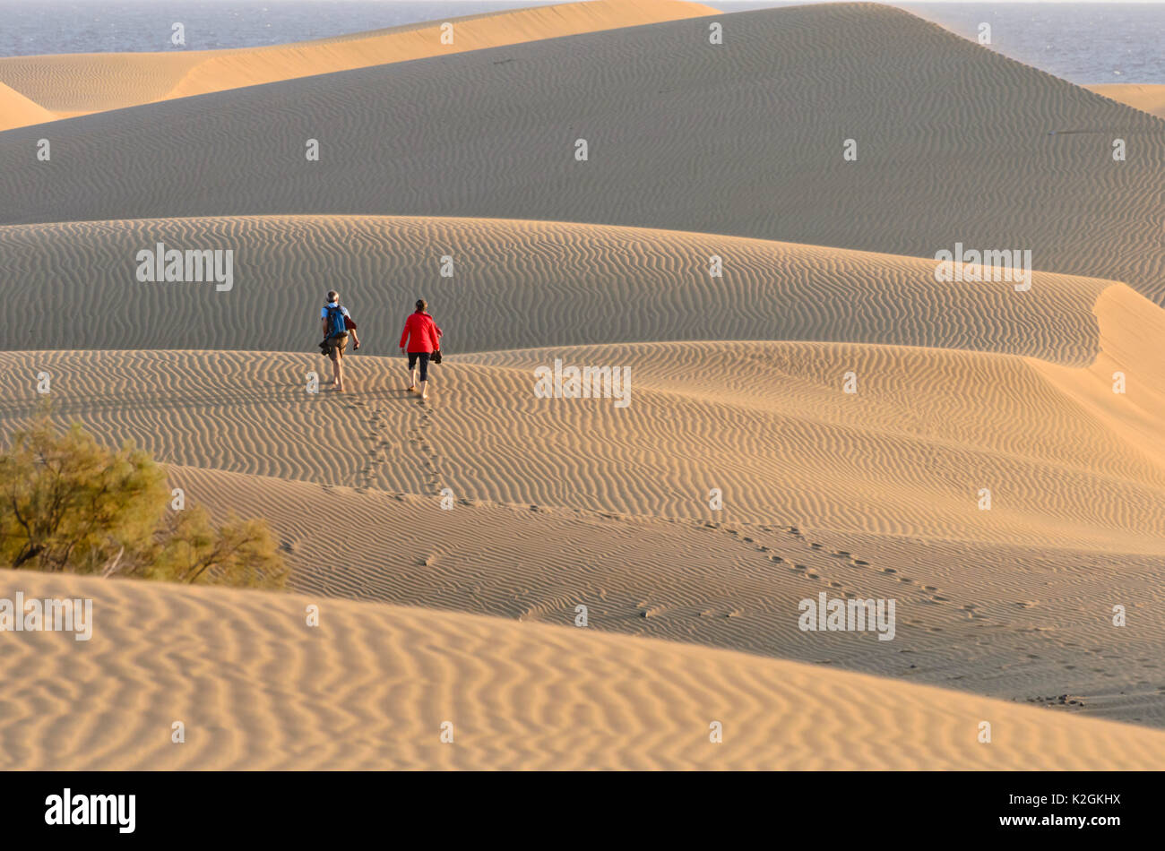 Dunes de sable, Maspalomas, Gran Canaria, Espagne Banque D'Images
