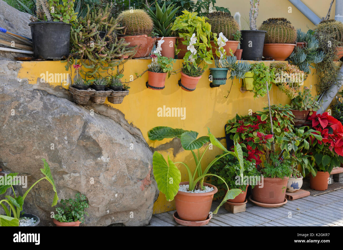 Jardin de conteneurs, Gran Canaria, Espagne Banque D'Images