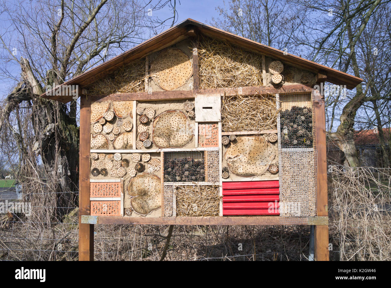 maison d’insectes Banque D'Images