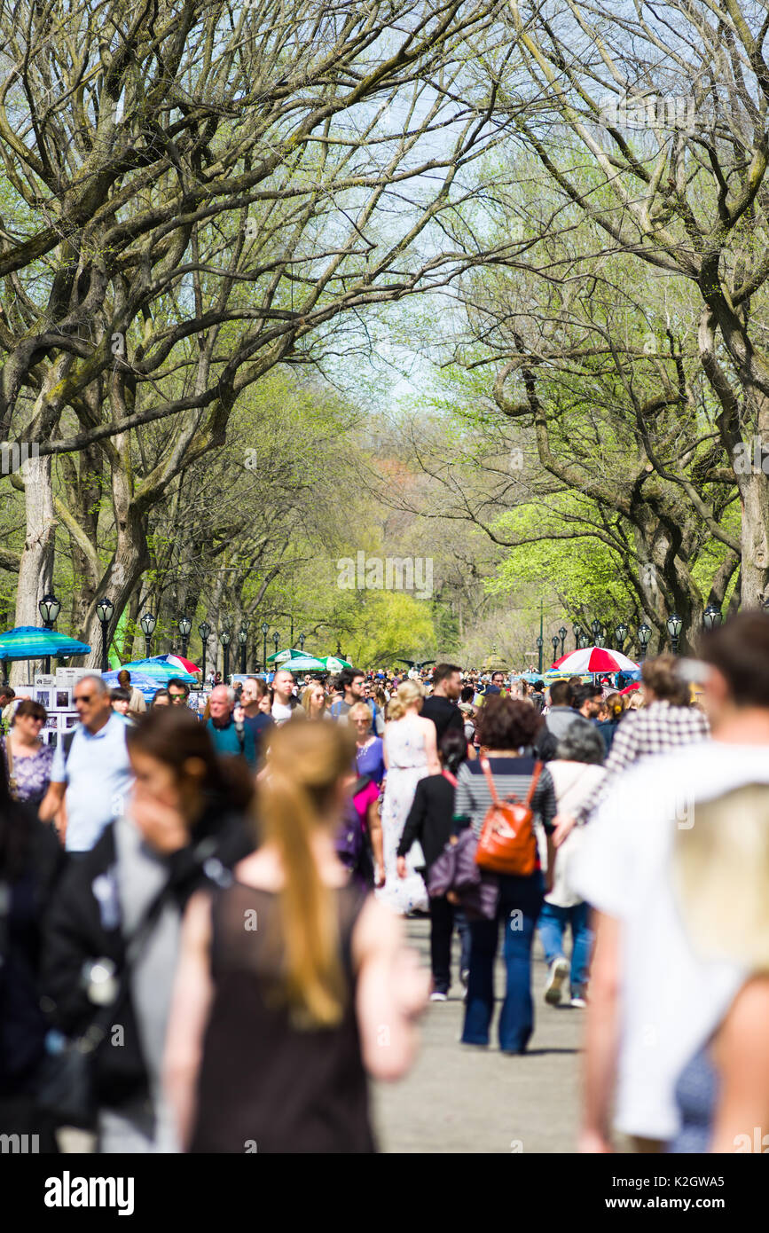 Les touristes se promener dans Central Park au printemps, New York, USA Banque D'Images