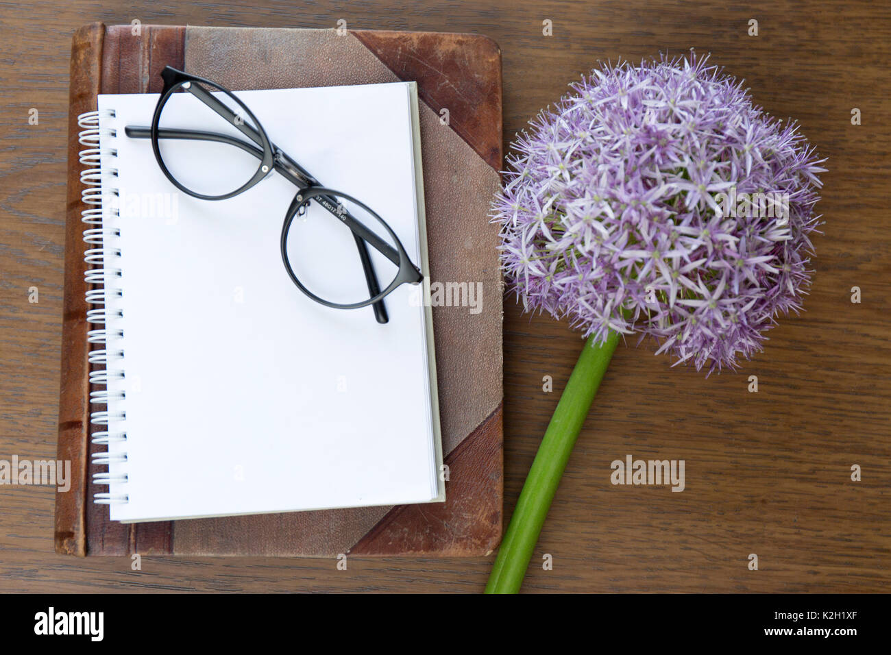 Maquette d'ordinateur portable pour l'oeuvre de pourpre et d'allium lunettes. Vue d'en haut. Place pour le texte. Des fleurs Banque D'Images