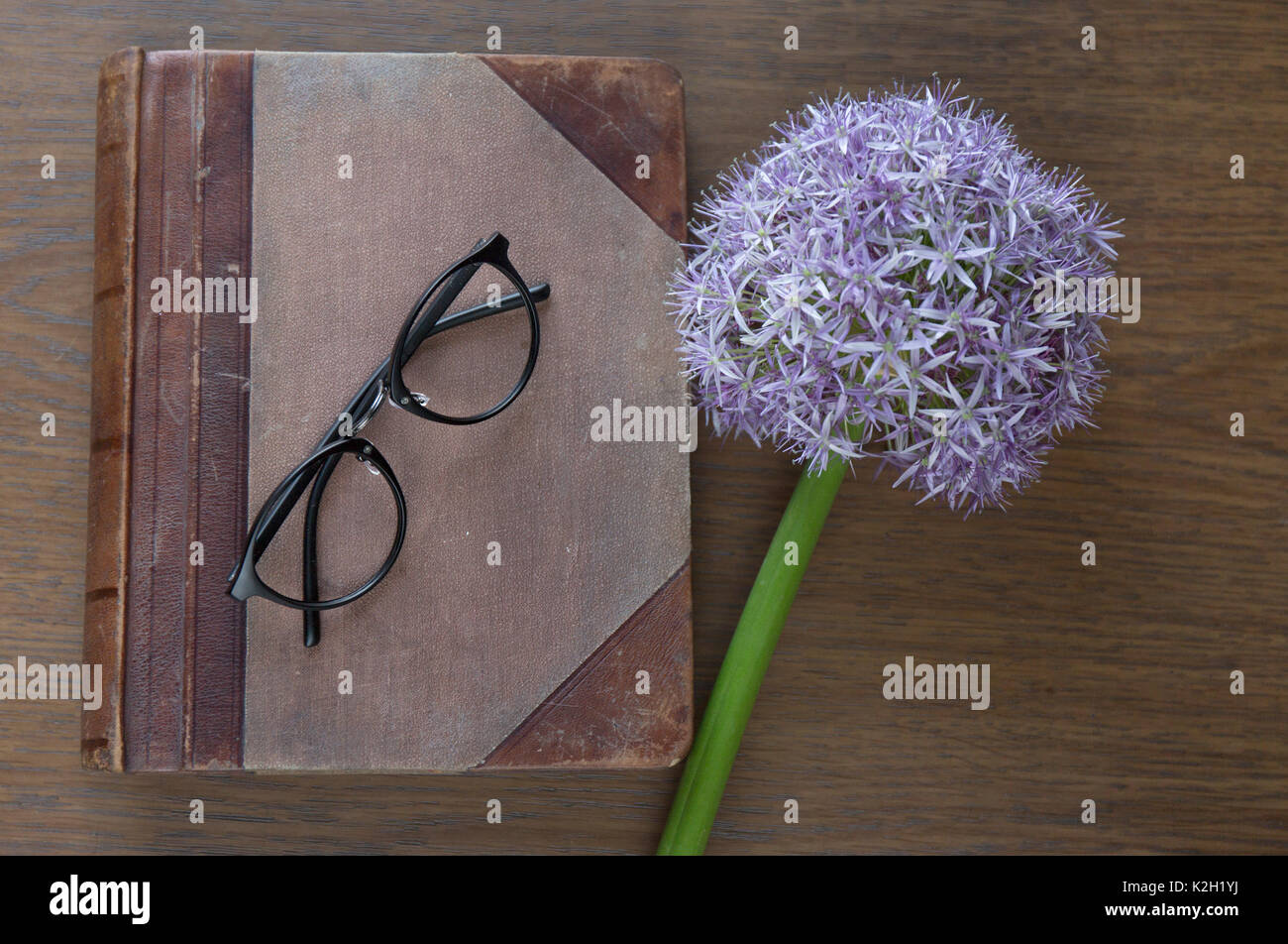 Maquette d'ordinateur portable pour l'oeuvre de pourpre et d'allium lunettes. Vue d'en haut. Place pour le texte. Des fleurs Banque D'Images