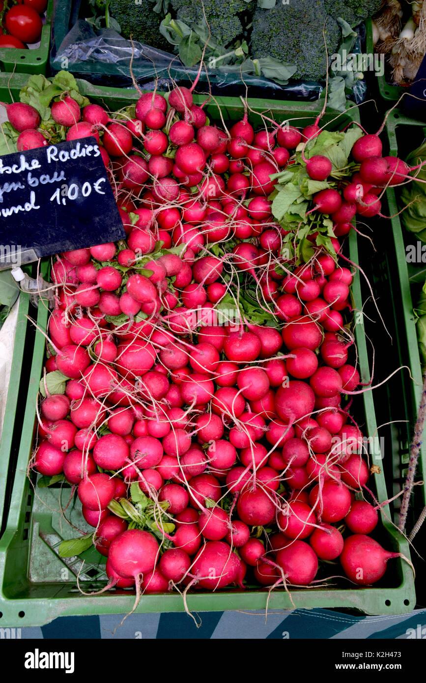 Échoppe de marché offrant des petits Radis Banque D'Images