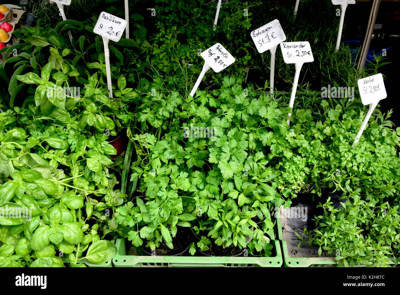 Marketstall offrant différentes herbes culinaires Banque D'Images