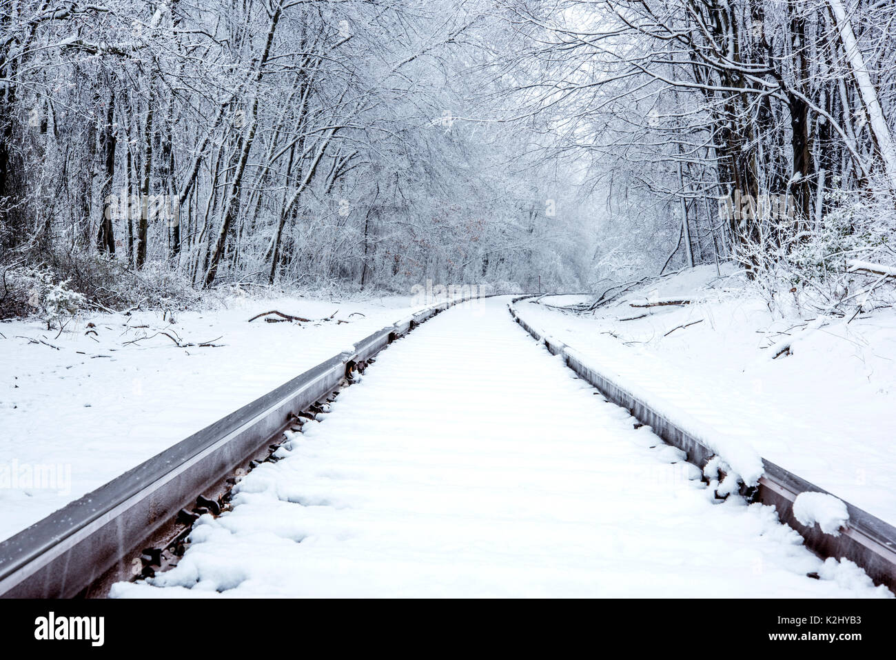 Belle scène avec les arbres couverts de neige et de fer. Photo a été prise à Thompson Park situé dans le New Jersey Banque D'Images