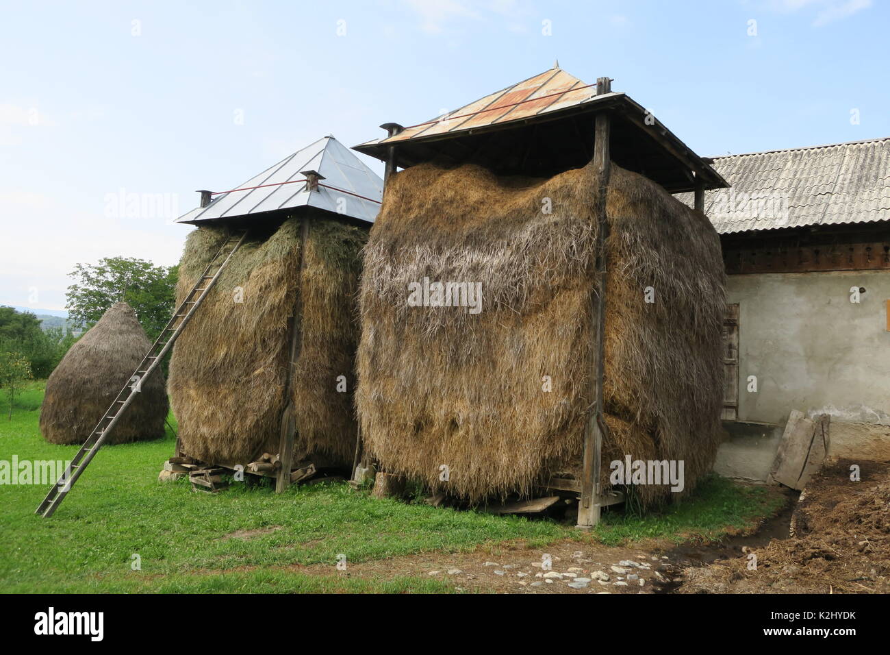 Foin traditionnel rick dans village roumain barsana. Banque D'Images