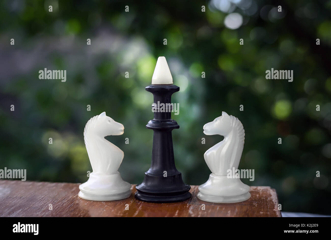 Deux cheval blanc et noir king chess piece sur un échiquier, jouant aux échecs dans le parc à l'extérieur Banque D'Images