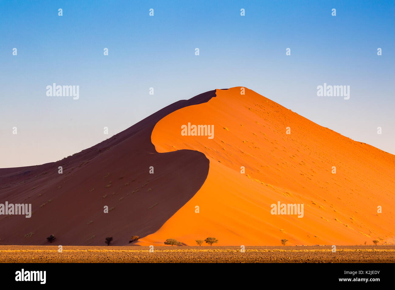 Le désert de Namib, sossusvlei. dunes de sable au coucher du soleil, la Namibie, l'Afrique Banque D'Images