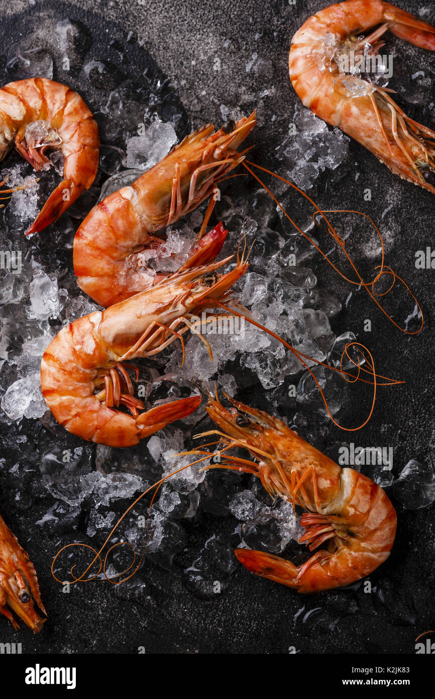La crevette tigrée rose bouilli sur la glace sur fond noir close-up Banque D'Images