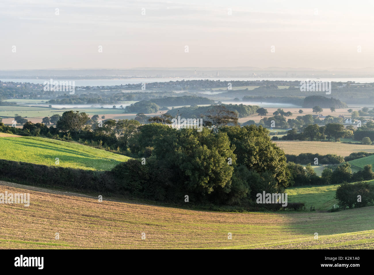 Champs brumeux au petit matin Banque D'Images