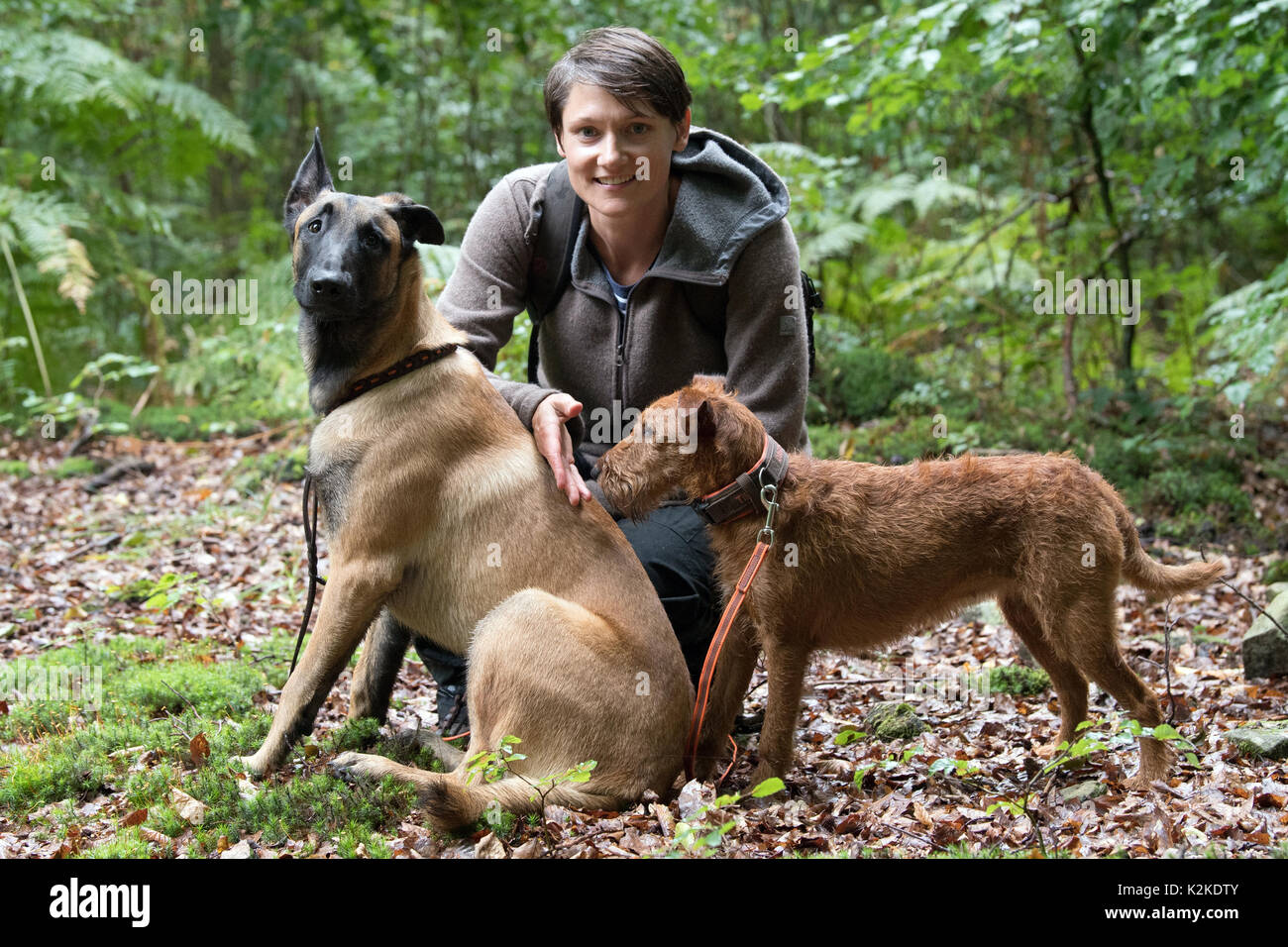Lauenberg, Allemagne. Août 31, 2017. Étudiant en foresterie et de chien  Svenja Schmidt pose fièrement avec son suivi du 'chiens' Tilda (terrier  irlandais - r) et 'bene' (Berger Belge) dans la réserve