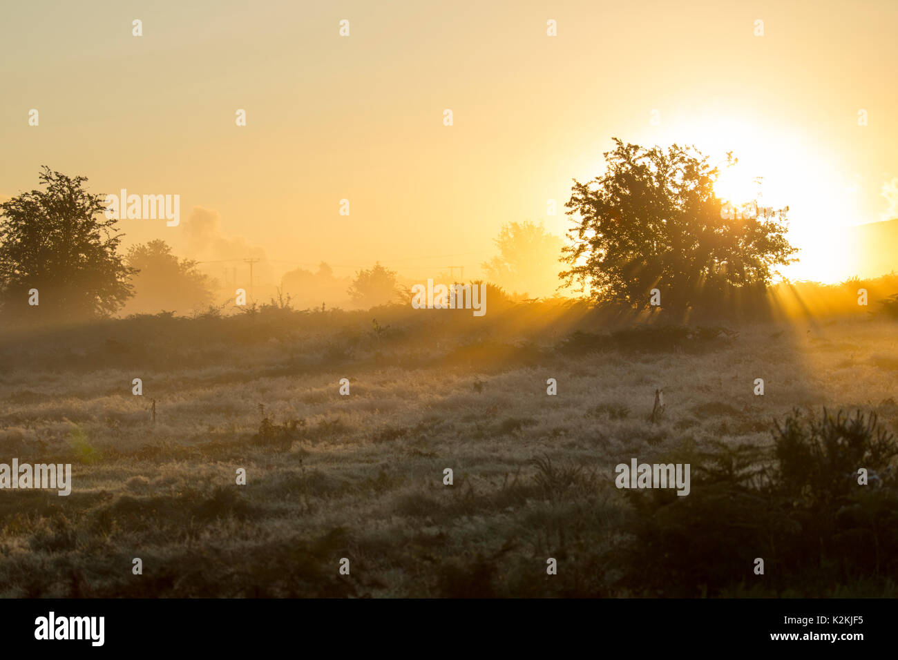 Flintshire, le Pays de Galles le 1er septembre 2017. Météo britannique. Avec le centre de stat pour l'automne commençant aujourd'hui Mère Nature laissez régions du Royaume-Uni savoir avec un départ frisquet et brume sur de nombreuses régions rurales, y compris la montagne Halkyn Flintshire © DGDImages/Alamy Live News Banque D'Images