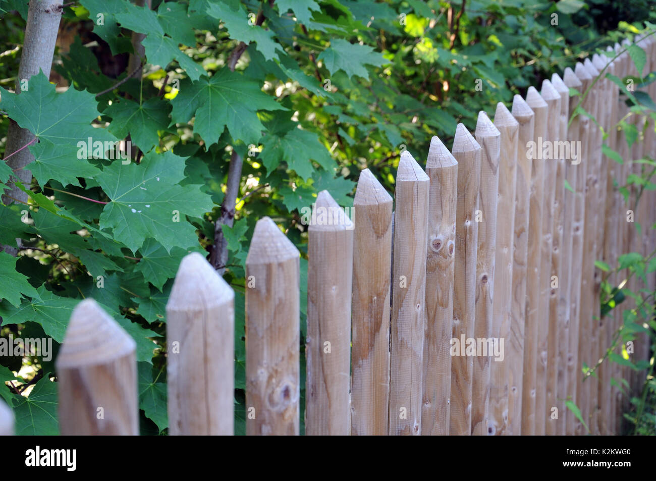 Jardin clôture en bois simple Banque D'Images