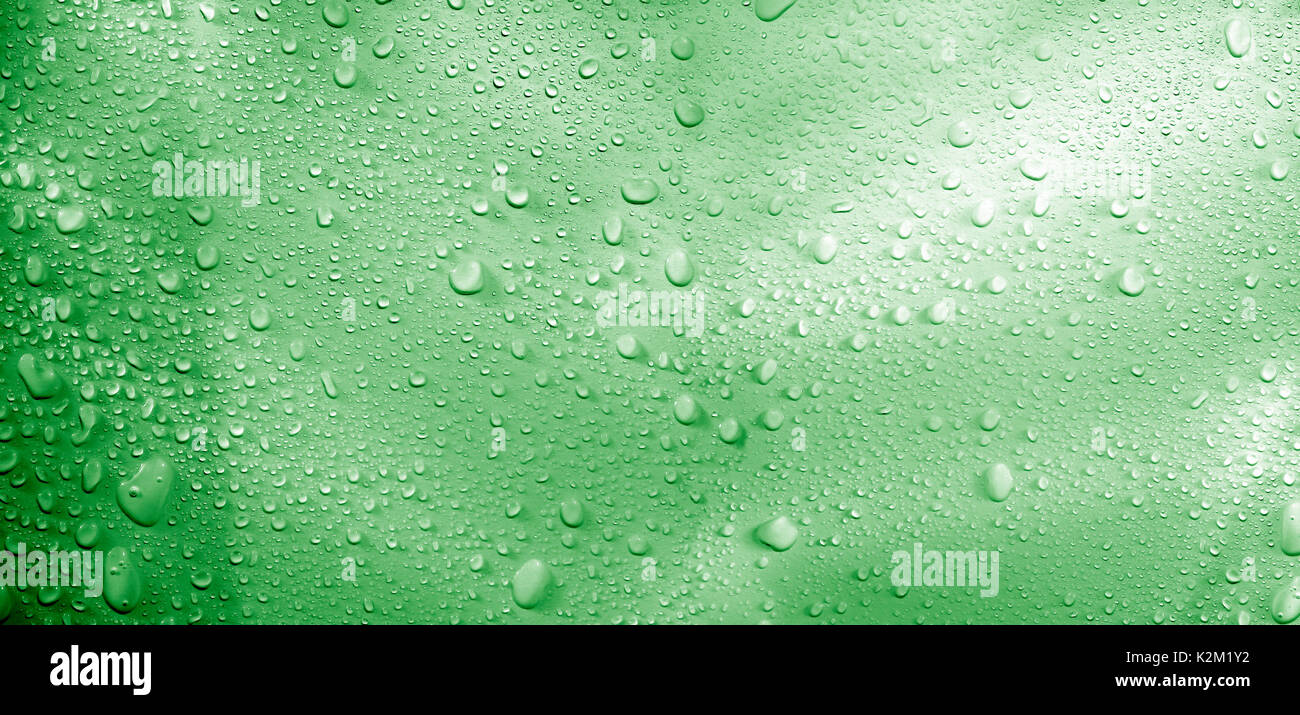 Gros plan des gouttes de pluie et de lumière. Banque D'Images