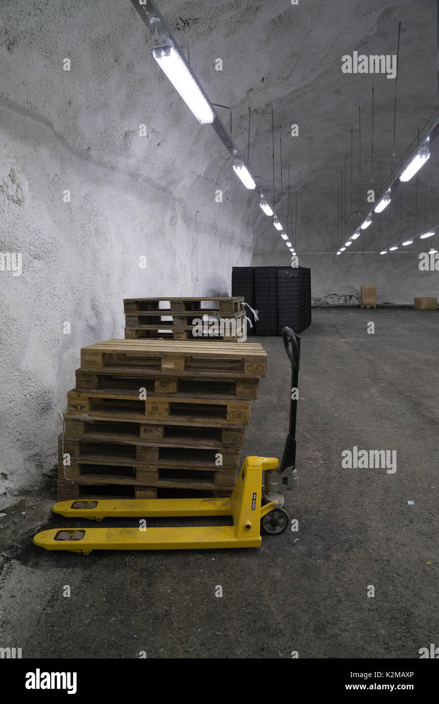 La Global Seed Vault à Longyearbyen, archipel du Svalbard. L'une des trois chambres fortes. Banque D'Images