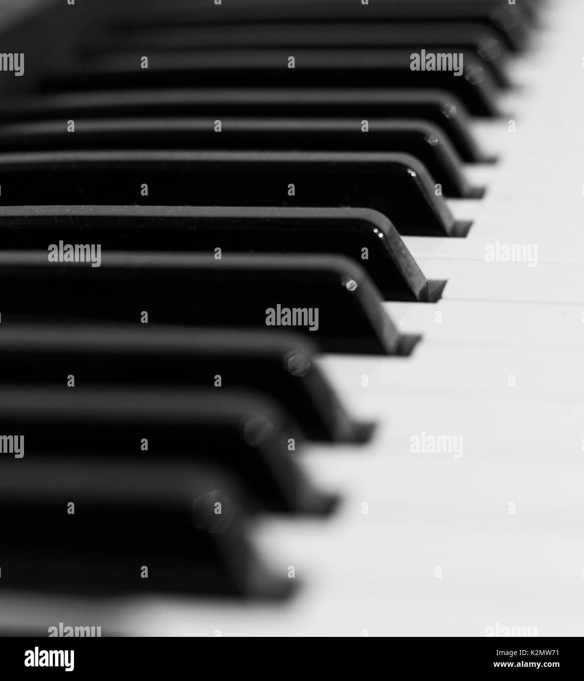 Close up des touches clavier en noir et blanc avec quelques poussières sur elle. Banque D'Images
