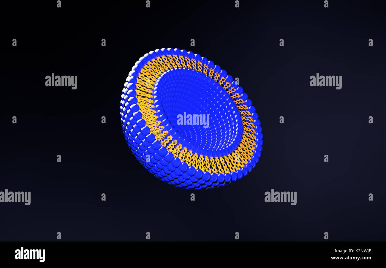 3D illustration médicale de liposomes structure bi-couche isolé sur fond sombre Banque D'Images
