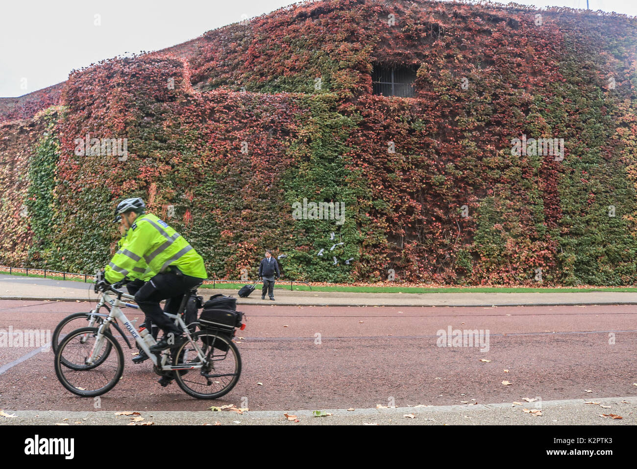 Londres, Royaume-Uni. 23 oct, 2017 la police. monter sur prêt de changer les couleurs des feuilles d'automne sur Horse Guards Parade london crédit : amer ghazzal/Alamy live news Banque D'Images