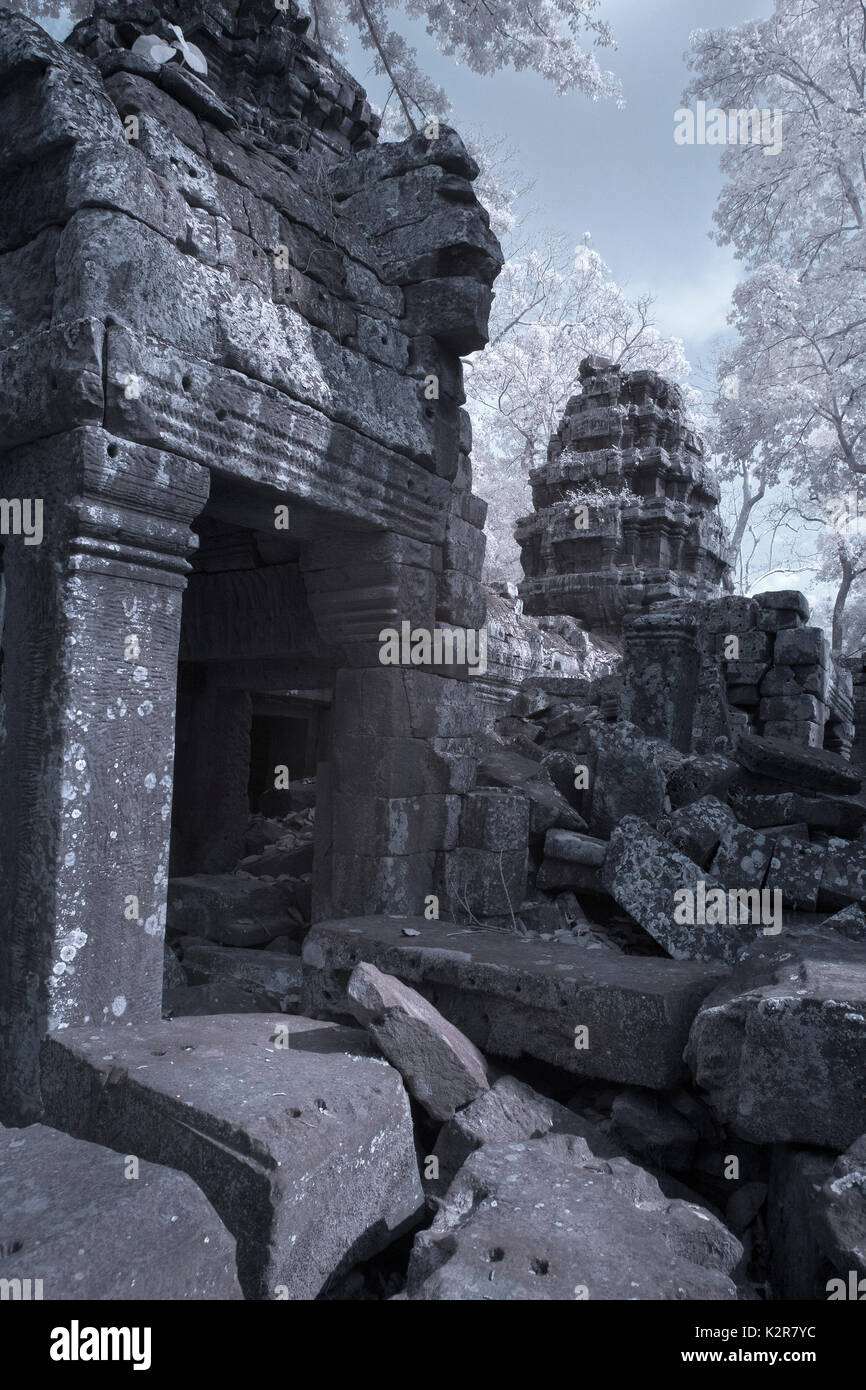 Ta Prohm incroyable château Banyan Tree roots siem reap Cambodge Banque D'Images