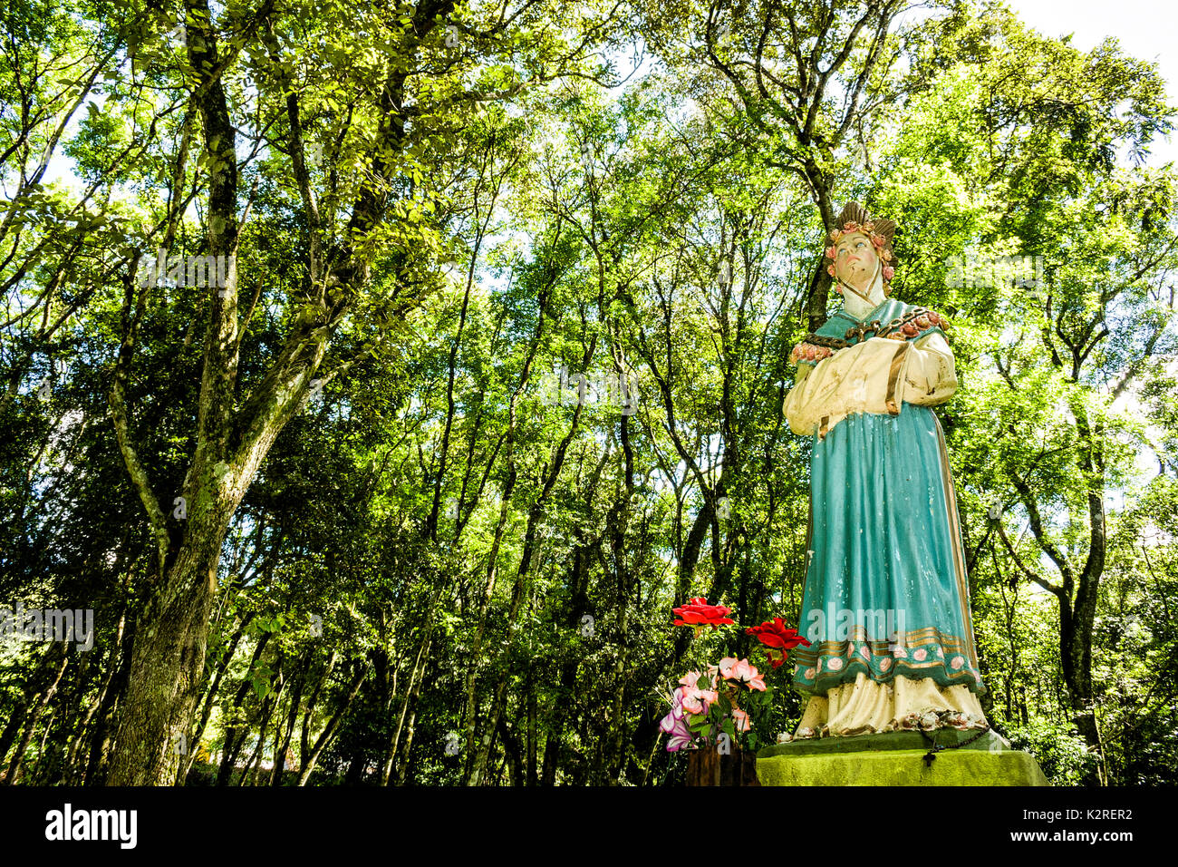 Caibi Santa Catarina fonte: c8.alamy.com