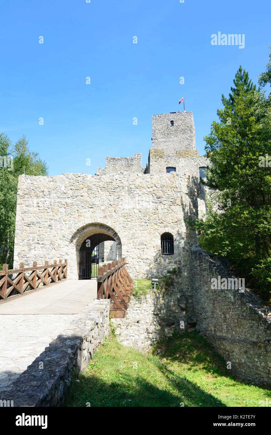 Château de Strecno, Strecno, Slovaquie Banque D'Images