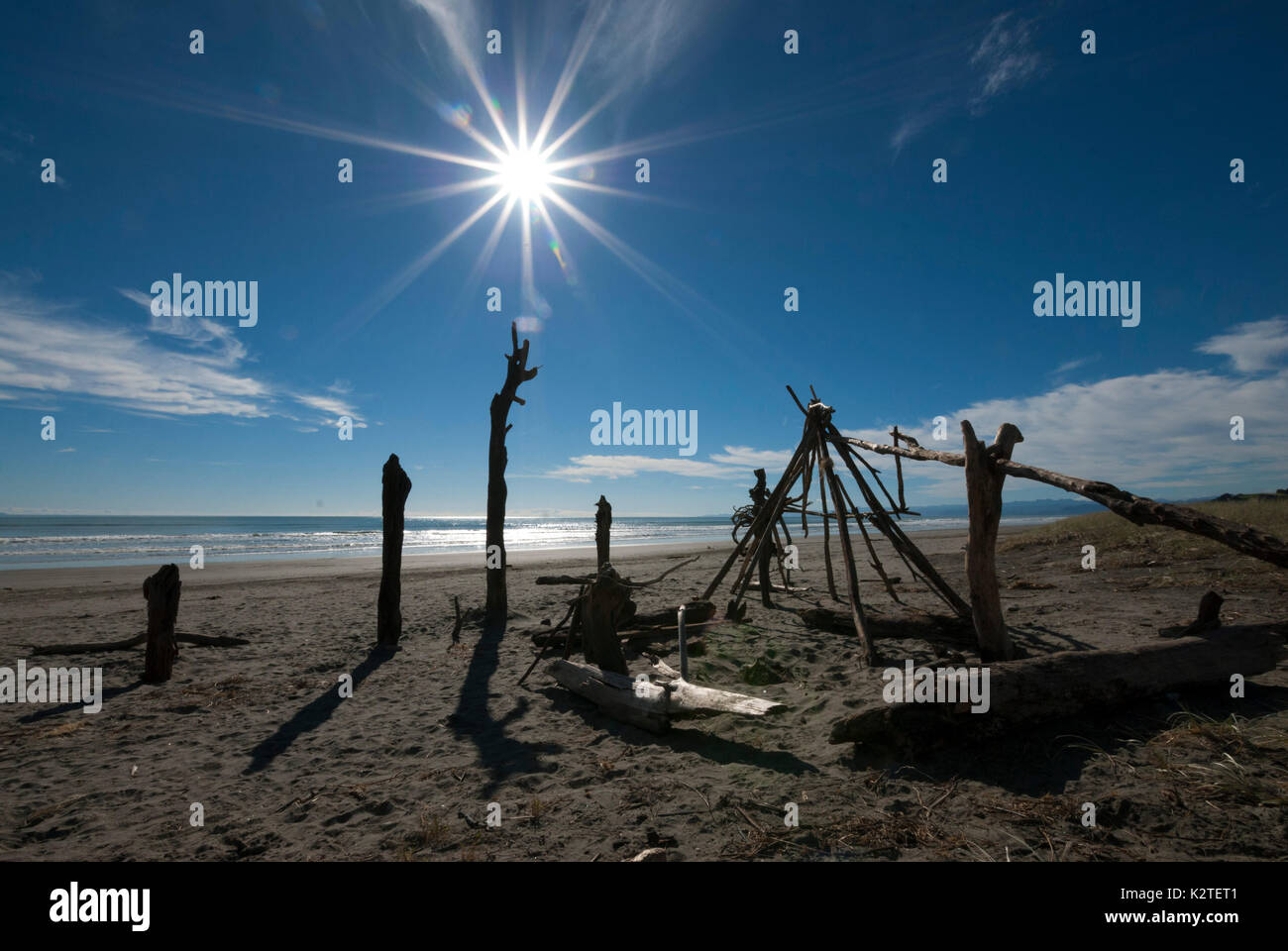 Sculpture de bois flotté sur la plage à Waiotahi, près de Opotiki, Bay of Plenty, île du Nord, Nouvelle-Zélande Banque D'Images