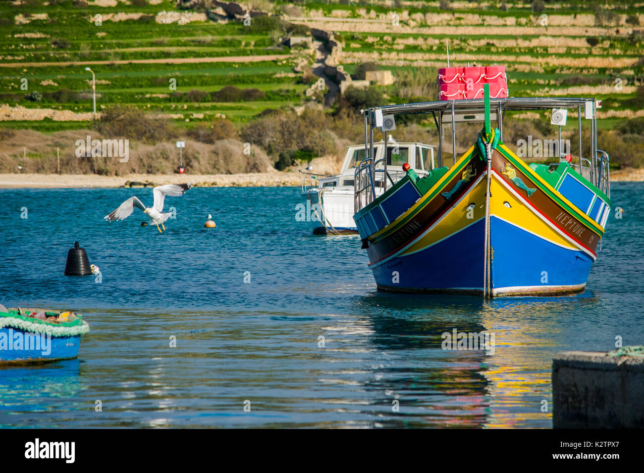 Une mouette voler loin d'un bateau de pêche maltais (luzzu) au village de pêcheurs de Marsaxlokk à Malte, Méditerranée. Banque D'Images