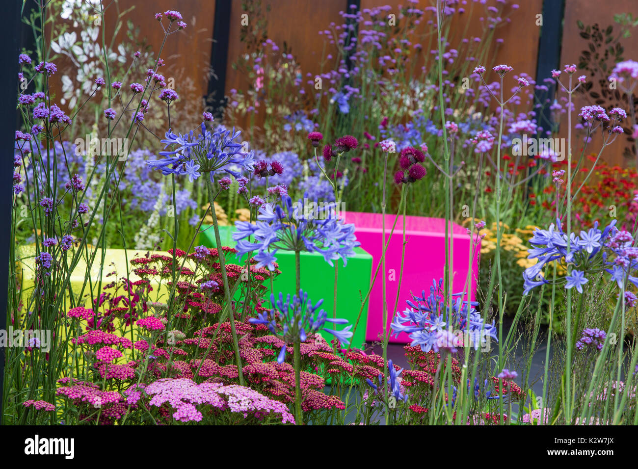 Boîte de couleur. rhs Hampton Court 2017. conception : charlie bloom Banque D'Images