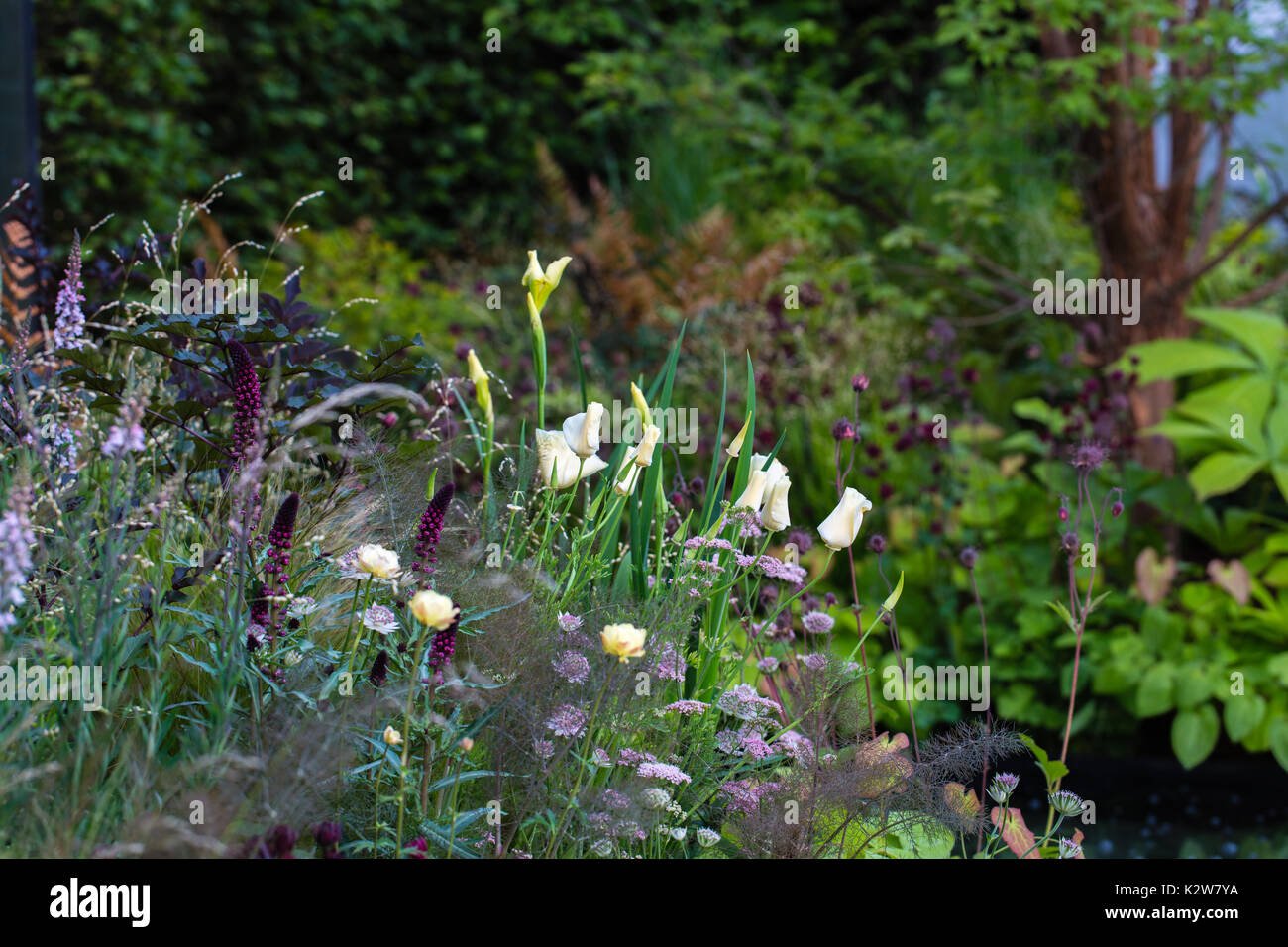 Bbc radio, le jeremy vine garden, designer matt keighley Banque D'Images