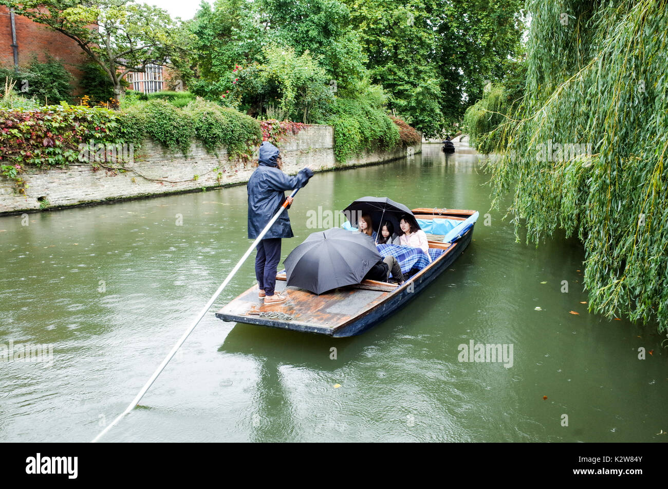 Piquer dans la pluie. Par temps humide, les touristes prennent des punts guidés sur la rivière Cam sous la pluie, à Cambridge, au Royaume-Uni Banque D'Images